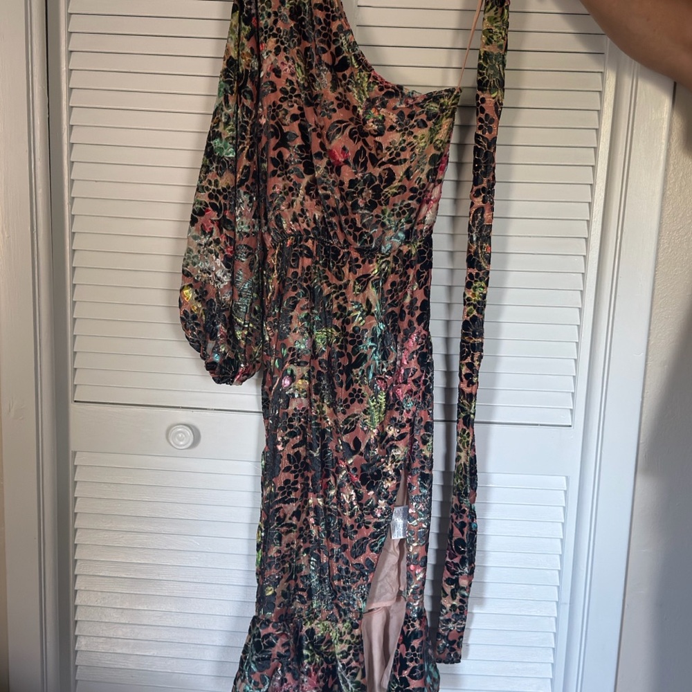 HEMANT & NANDITA Blush Multi Floral One-Shoulder Velvet Dress